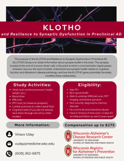 A picture of the KLOTHO study recruitment flyer. All eligibility details and information are included on this web page.