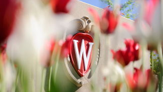 The UW crest behind some red and white tulips