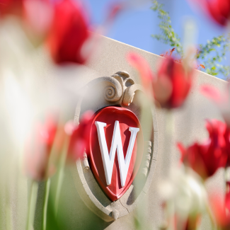 UW Madison crest affixed to a building facade with red tulips in front of the crest