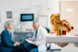 Person undergoing audiology exam, model of an ear