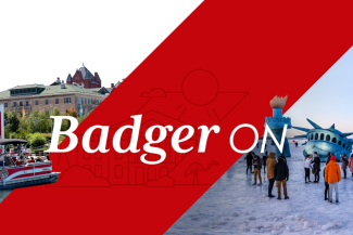 Badger On graphic image