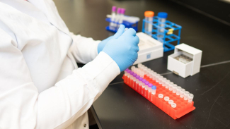 Scientist wearing blue gloves handling test tubes at a laboratory workstation